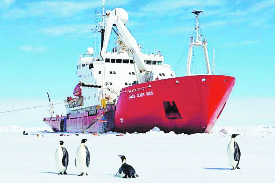 buque antártica