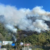 Detienen a padre e hijo acusados de iniciar incendio forestal en cerro de Niebla