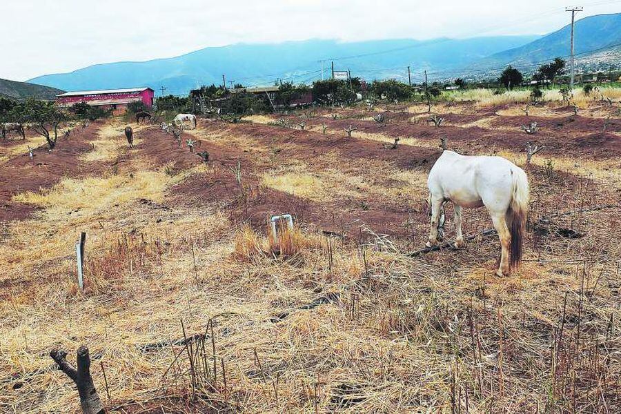 Sequía en la Provincia de Petorca
