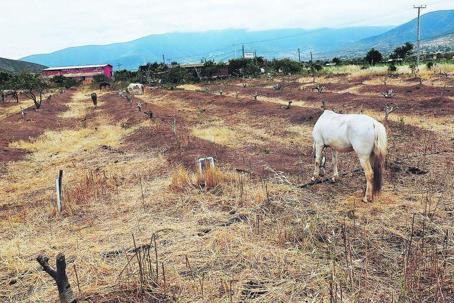 Sequía en la Provincia de Petorca