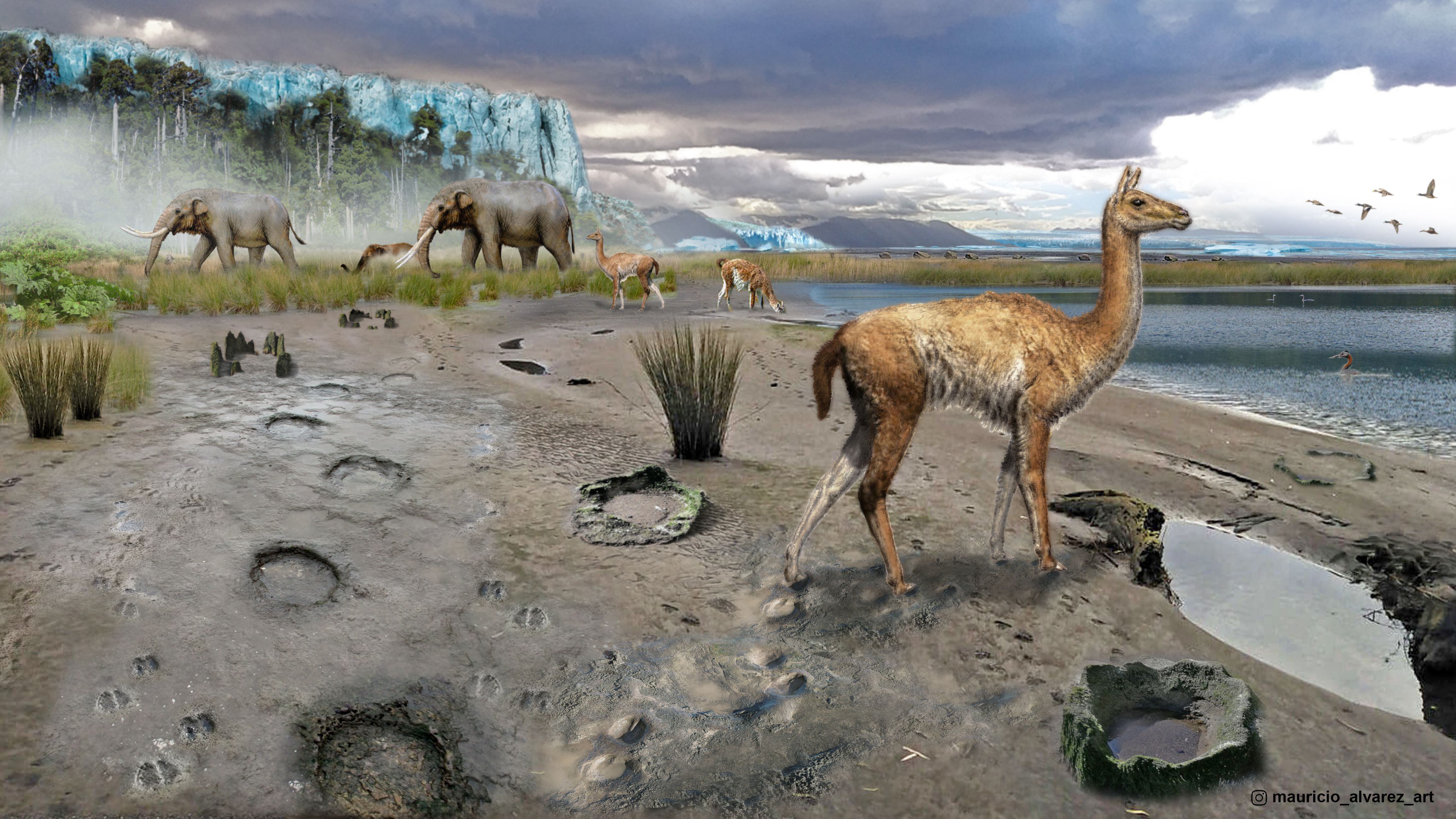 Descubren increíbles especies extintas de la Era del Hielo en Quintero
