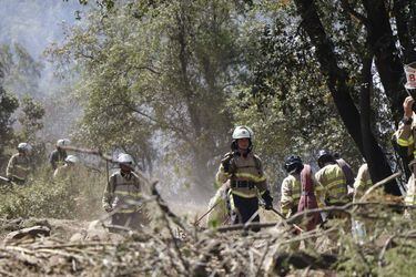 Incendio forestal