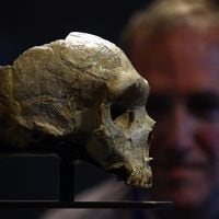 Científicos logran increíble reconstrucción facial de “El Viejo” un neandertal descubierto hace 115 años