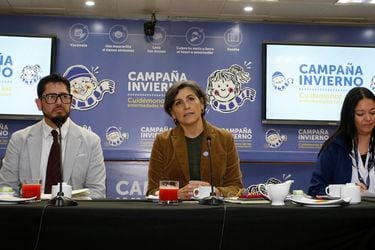 Minsal anuncia nuevas medidas ante alza de virus respiratorios y pide no ocupar políticamente casos de muertes de lactantes por sincicial