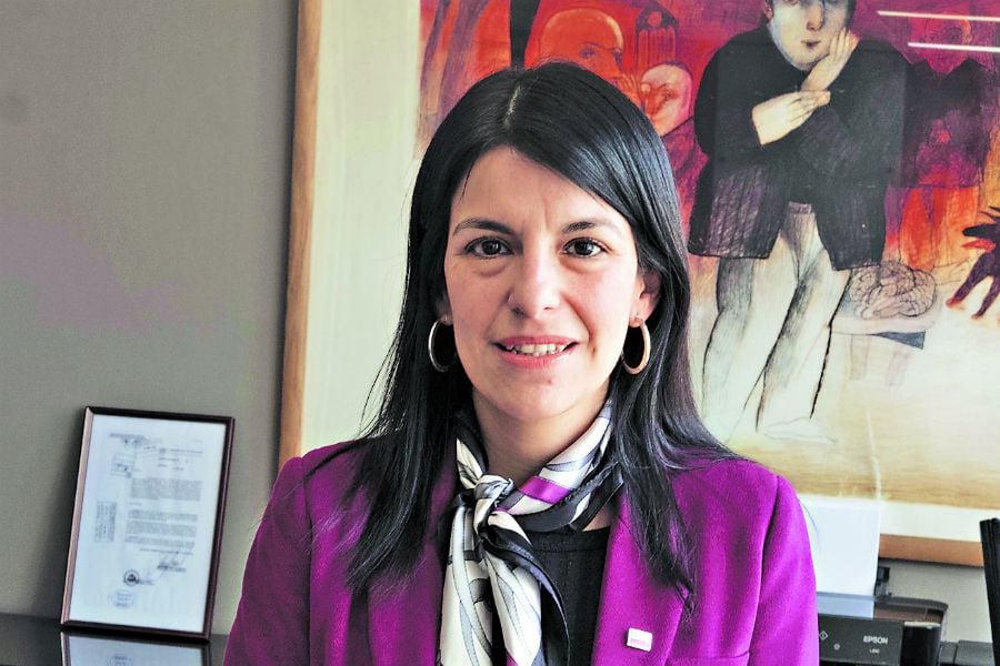 Subsecretaria de Evaluacin social Alejandra Candia