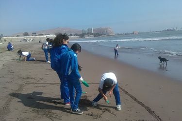 Muestreo Playas 2016 Arica (C) Susana Ruiz