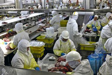 Production at a Minerva Meat Processing Plant in Barretos