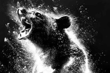Este es el póster de Cocaine Bear, la nueva película sobre un oso drogado