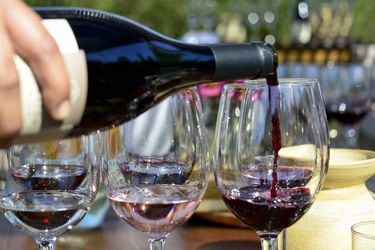Exportaciones de vino embotellado profundizan caída en abril