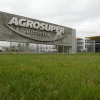 Agrosuper reduce en más de un 75% sus ganancias del 2023