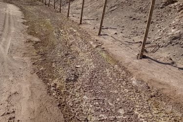 Superintendencia de Medio Ambiente dicta medidas contra minera Mantos Copper por afectación de la Ruta 5 Norte