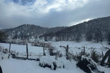 122 familias siguen aisladas en Lonquimay por temporal de viento y nieve
