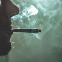 Estudio dice que fumar hasta un pito de marihuana aumenta riesgo de sufrir dos mortales problemas de salud