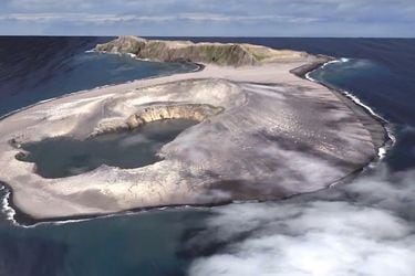 Descubren nuevas formas de vida en isla desaparecida tras erupción