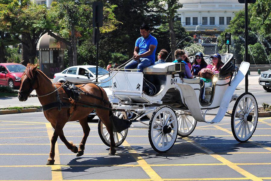 Foto: victoria Viña del Mar