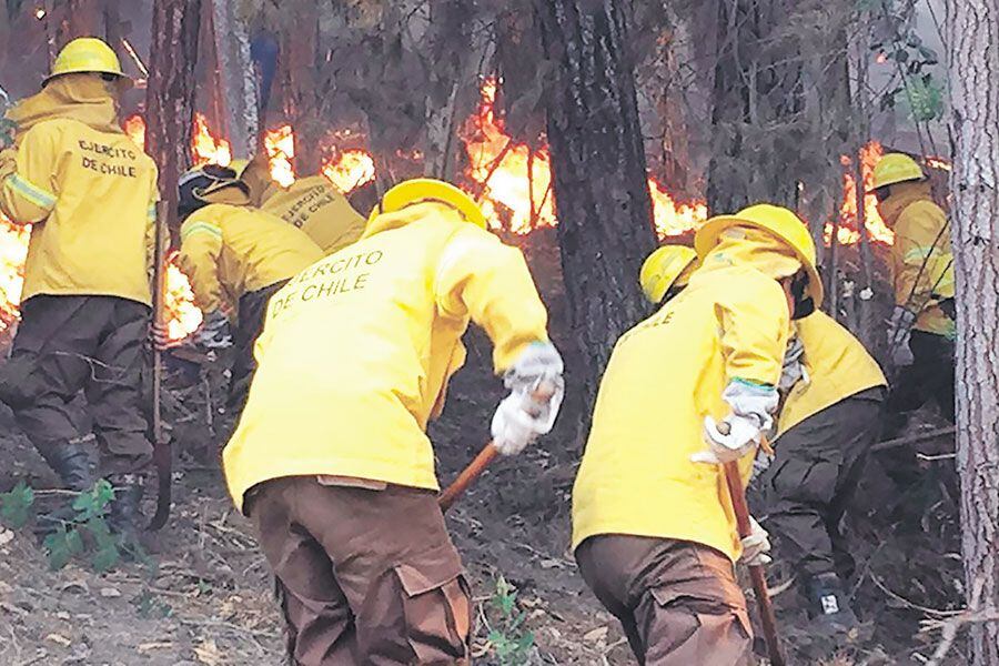 Incendios Carahue