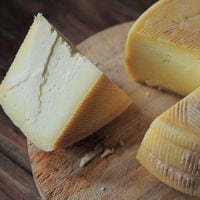 Estudio revela el desconocido beneficio en la población chilena del consumo de queso