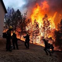 Las medidas que se han tomado en el mundo luego de catastróficos incendios forestales