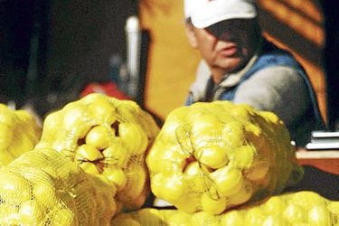 limones ipc inflación