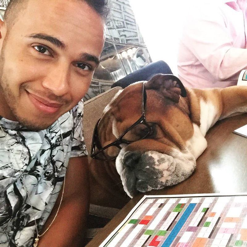 Roscoe, el perro de Hamilton que gana 500 mil al día