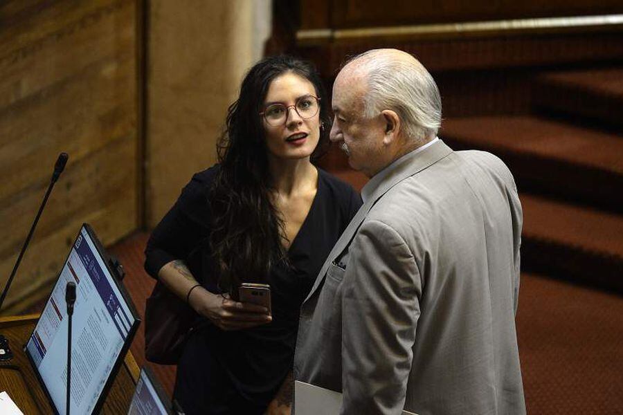 Camara de Diputados 19 Noviembre