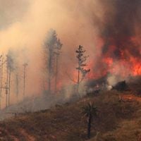 Alerta meteorológica: 131 comunas del país podrían estar bajo “botón rojo” esta Navidad ante alta probabilidad de incendios