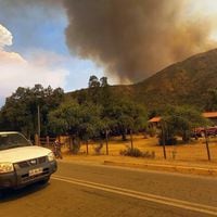 Incendios forestales: conoce los números de emergencia ante la presencia de humo