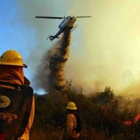 Cancelan alerta roja en San Nicolás por incendio forestal: llamas ya no amenazan a viviendas