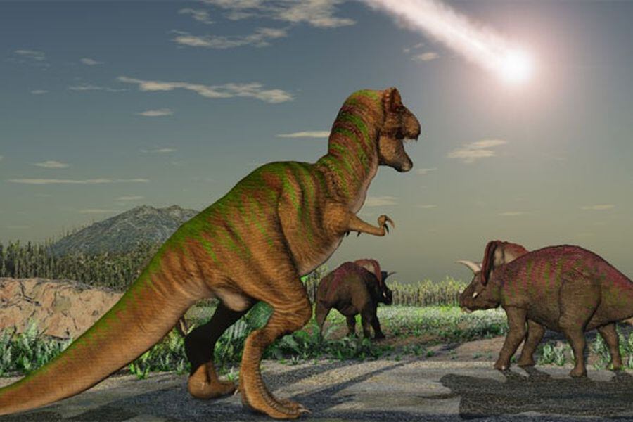 Los 30 segundos que marcaron la diferencia entre la vida y la muerte de los dinosaurios - La Tercera Los 30 segundos que marcaron la diferencia entre la vida y la muerte de los dinosaurios - La Tercera