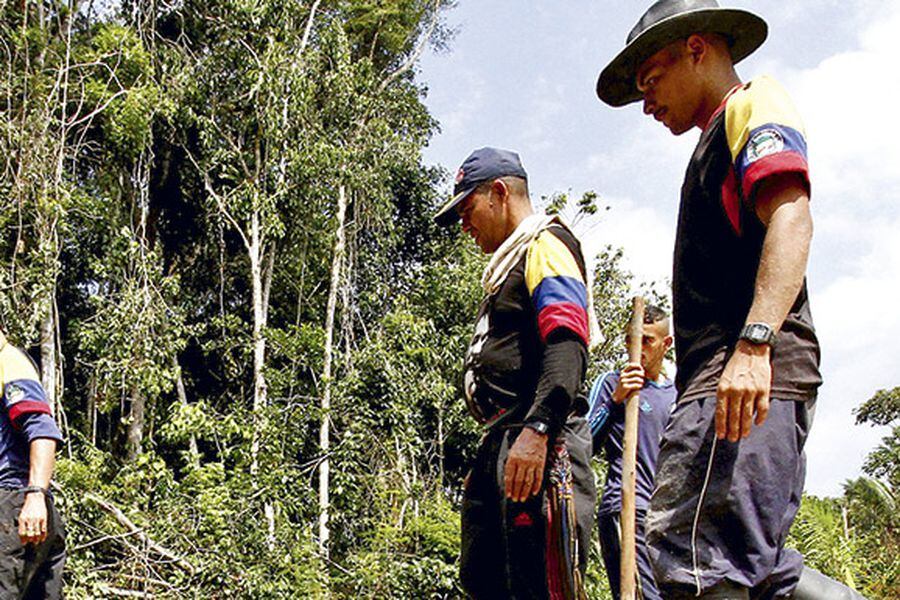 miembros de la Farc realizan trabajos en el municipio de Tibú