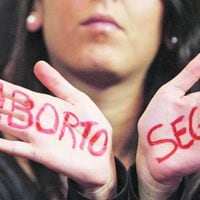 Cifras de aborto a seis meses de vigencia de nueva ley abren debate
