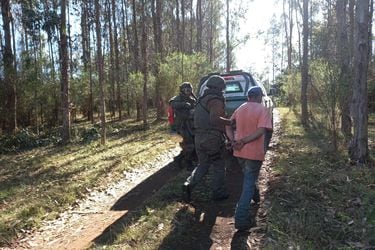 Detienen a cinco personas mientras robaban madera en predio de Tirúa