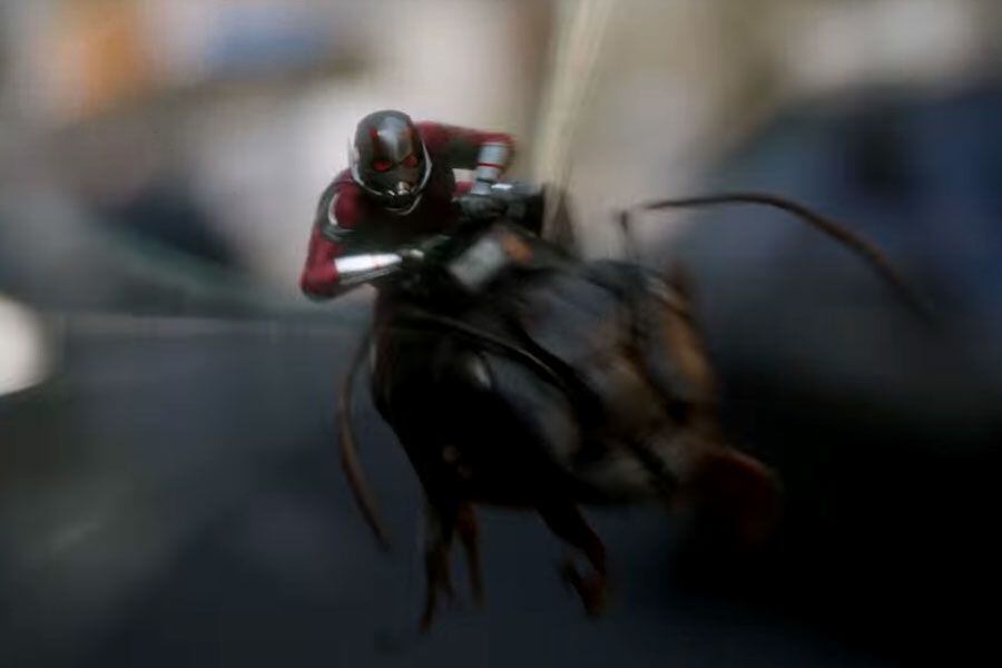ant-man