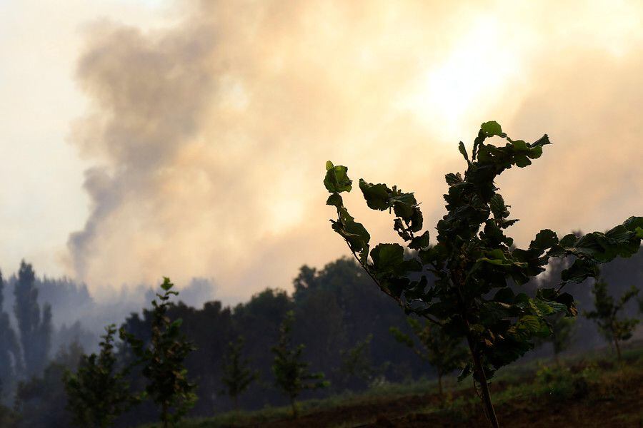 incendios forestales