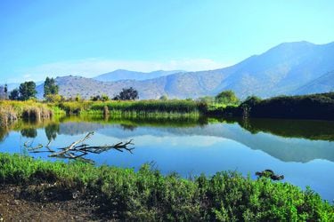 Acuífero de Peñaflor: la desconocida reserva de la Región Metropolitana que podría abastecer de agua a Santiago