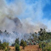 Declaran alerta amarilla por incendio forestal de rápido avance en Nogales