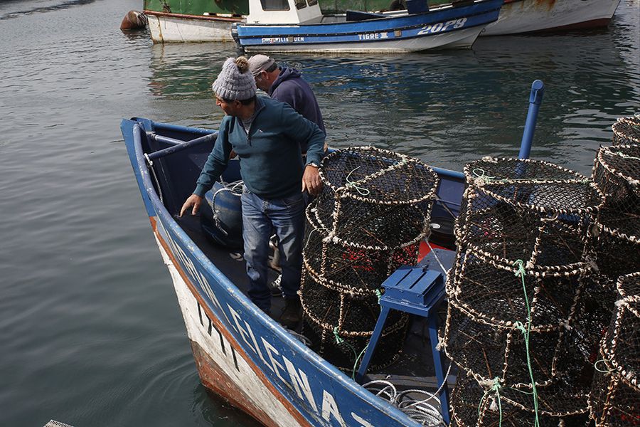 TALCAHUANO: Pesca artesanal en caleta de San Vicente
