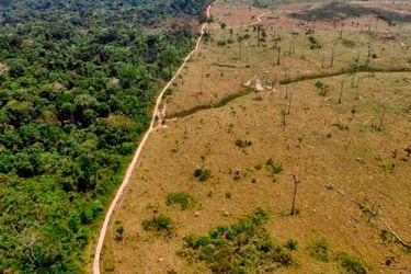 La deforestación en la Amazonía brasileña está en su peor nivel desde 2006