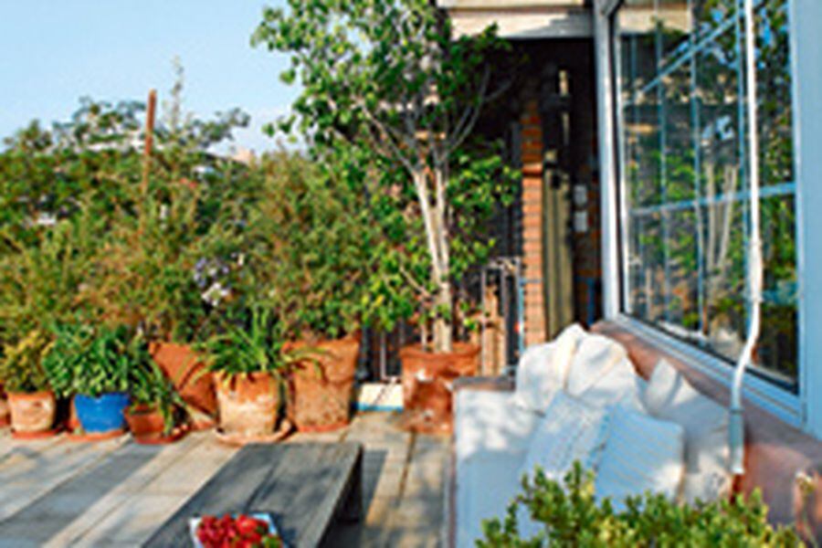 Calidez con diseño - La Tercera