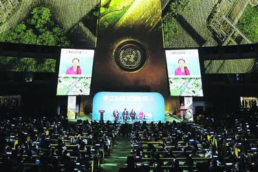 United_Nations_Climate_Action_Summit_25683