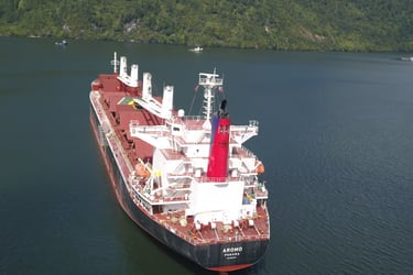 Puerto Chacabuco registra el mayor embarque de carga en su historia