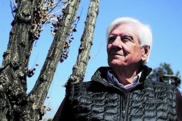 Raúl Torrealba: Los viajes a La Araucanía con altos viáticos del ex alcalde de Vitacura