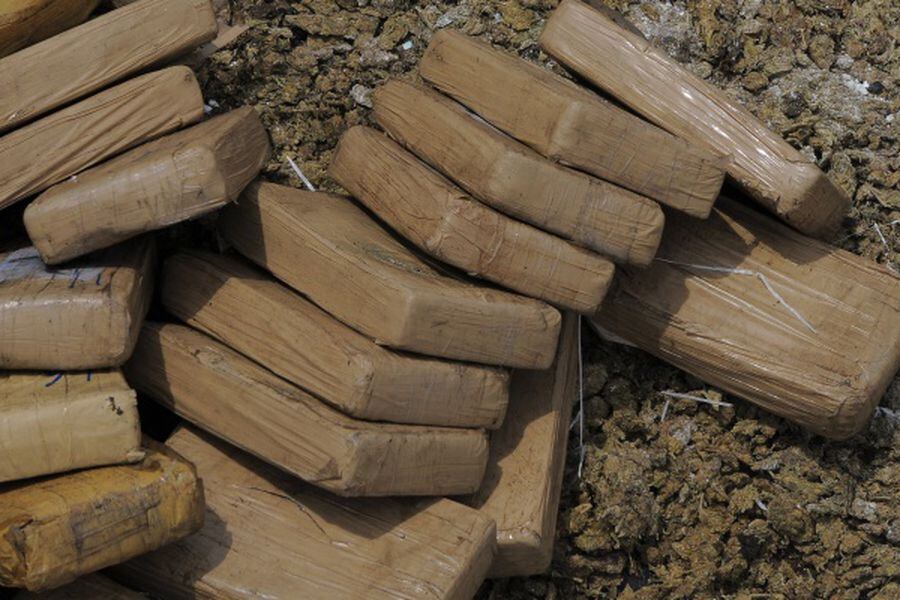 Panamá destruye nueve toneladas de drogas decomisadas al narcotráfico