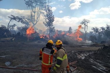 Actual temporada de incendios forestales es la tercera más destructiva de los últimos veinte años, según Conaf