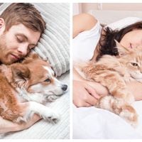 ¿Compartir la mascota? Qué hacer con los animales cuando las parejas se separan