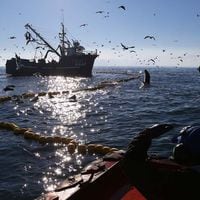 Tolerancia Cero con la pesca ilegal