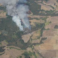 Senapred solicita evacuar sector Catrianche en Nueva Imperial por avance de incendio forestal 