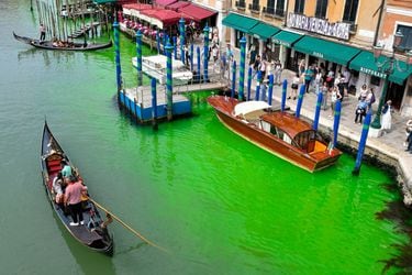 Inédito: el agua del Gran Canal de Venecia apareció teñida de verde fluorescente