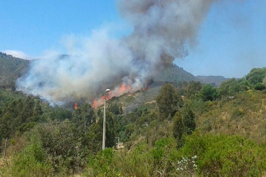 Incendio forestal Laguna Verde a principios de noviembre.