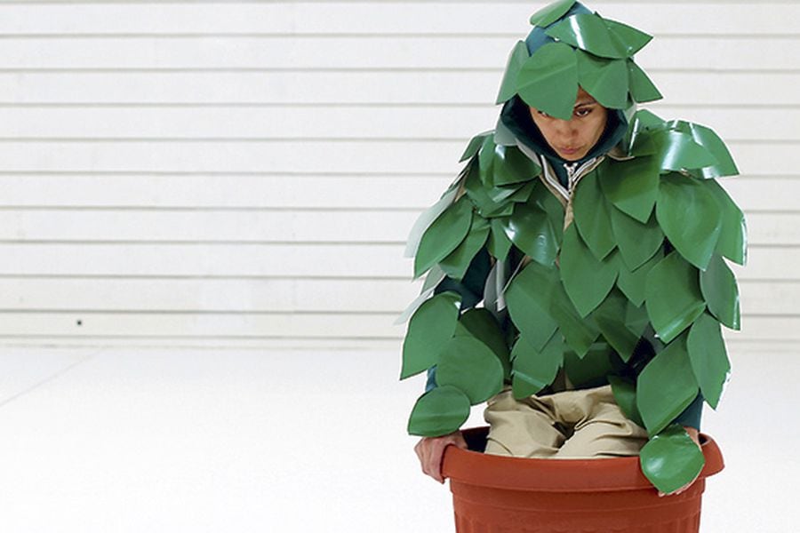 Marcela Salinas, estado vegetal